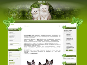    www.alisa74.ru
